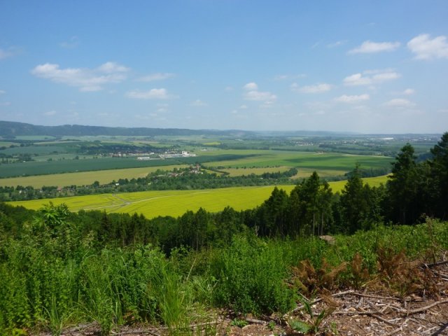 2015